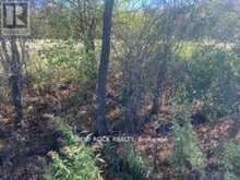 LOT FLAGG ROAD | Iroquois Ontario | Slide Image Eighteen