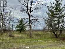 8 MORNINGSIDE DRIVE | Smiths Falls Ontario | Slide Image Nine