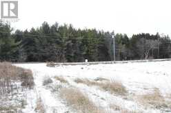 10569 LOUGHLIN RIDGE ROAD | North Dundas Ontario | Slide Image Thirty