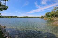 1 BLACK CAT ISLAND | Leeds and the Thousand Islands Ontario | Slide Image Fifteen