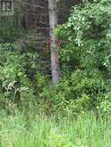 00 BRANCH ROAD | Augusta Ontario | Slide Image Ten