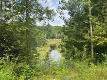 0 BLACK CREEK ROAD N | Lanark Ontario | Slide Image Sixteen