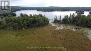 155 WOODVALE ROAD | Leeds and the Thousand Islands Ontario | Slide Image Forty-two