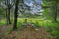 100 COONS ROAD | Rideau Lakes Ontario | Slide Image Forty-one