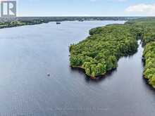 41 RUSTIC LANE | Westport Ontario | Slide Image Thirty-one