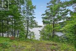 41 RUSTIC LANE | Westport Ontario | Slide Image Seven