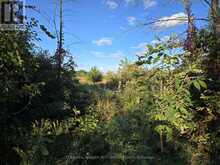 5 BUSH ROAD | Rideau Lakes Ontario | Slide Image Two