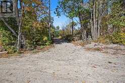 21618 HIGHWAY 7 HIGHWAY | Tay Valley Ontario | Slide Image Nine