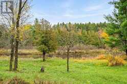 957 UPPER SCOTCH LINE ROAD | Perth Ontario | Slide Image Forty-two