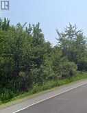 LOT COUNTY ROAD 15 ROAD | Avonmore Ontario | Slide Image Seven
