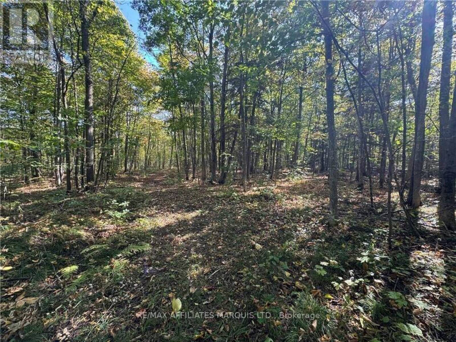 LOT BEAVERBROOK ROAD, South Glengarry, Ontario K0C 1S0