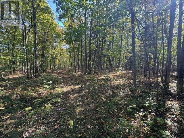 LOT BEAVERBROOK ROAD South Glengarry Ontario, K0C 1S0