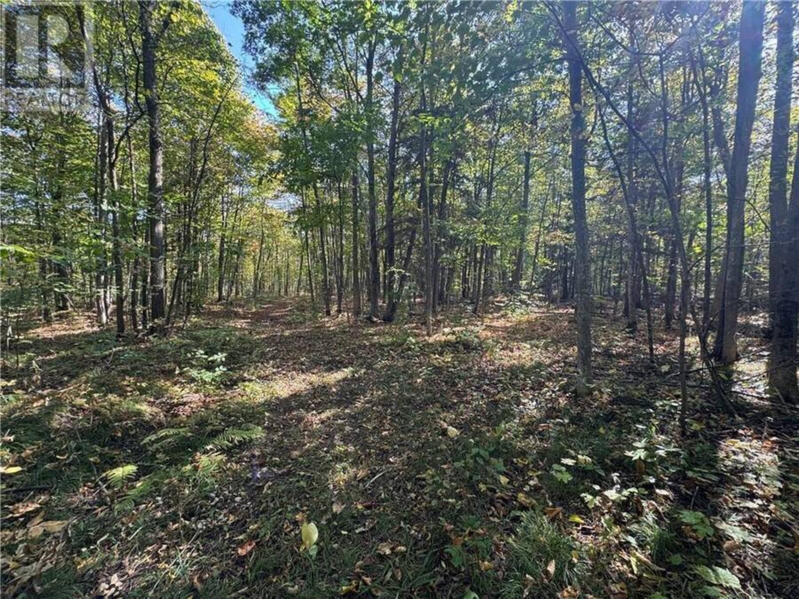 Lot BEAVERBROOK ROAD, Martintown, Ontario K0C 1S0