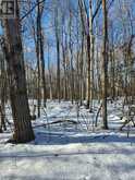 LOT CEDAR SANDS RDWY WAY | Rideau Lakes Ontario | Slide Image One