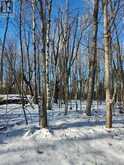 LOT CEDAR SANDS RDWY WAY | Rideau Lakes Ontario | Slide Image Two