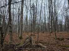 LOT CEDAR SANDS RDWY WAY | Rideau Lakes Ontario | Slide Image Five