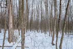 LOT CONCESSION 10 ROAD | Alexandria Ontario | Slide Image Twelve