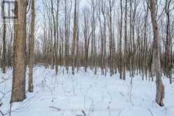 LOT CONCESSION 10 ROAD | Alexandria Ontario | Slide Image Fourteen