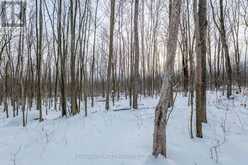 LOT CONCESSION 10 ROAD | Alexandria Ontario | Slide Image Fifteen