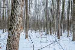 LOT CONCESSION 10 ROAD | Alexandria Ontario | Slide Image Sixteen