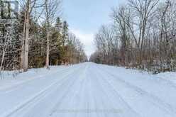 LOT CONCESSION 10 ROAD | Alexandria Ontario | Slide Image Eighteen