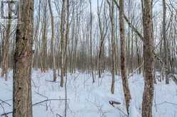 LOT CONCESSION 10 ROAD | Alexandria Ontario | Slide Image Eight