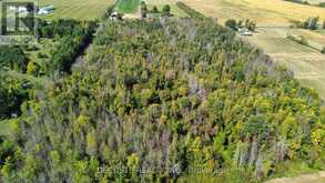 N/A COUNTY 17 ROAD | South Glengarry Ontario | Slide Image Four