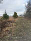 00000 NORTH LUNENBURG ROAD | South Stormont Ontario | Slide Image Six