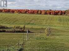 21237 CONCESSION 6 ROAD | South Glengarry Ontario | Slide Image Eleven