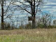 ST. ANDREWS - 17637 ISLAND ROAD E | South Stormont Ontario | Slide Image Thirty-three