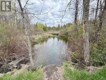 ST. ANDREWS - 17637 ISLAND ROAD E | South Stormont Ontario | Slide Image Thirty-five