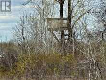 17637 ISLAND Road E | South Stormont Ontario | Slide Image Thirty-four