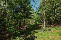 17259 COUNTY 18 ROAD W | South Stormont Ontario | Slide Image Thirty-eight