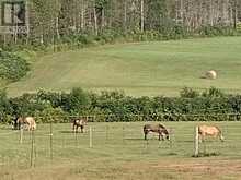 21237 CONCESSION 6 ROAD N | South Glengarry Ontario | Slide Image Five