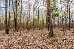 00000 BEAVER BROOK ROAD | South Stormont Ontario | Slide Image Nine