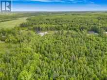 2975 CONCESSION RD 3 ROAD | Alfred and Plantagenet Ontario | Slide Image Eleven