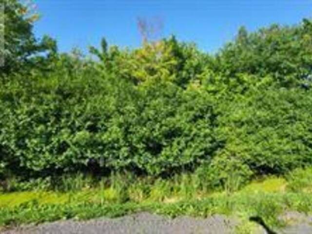 LOT 7 PLAN 246 TOLMIES CORNERS ROAD North Stormont Ontario, K0C 1V0 - Vacant Land For Sale