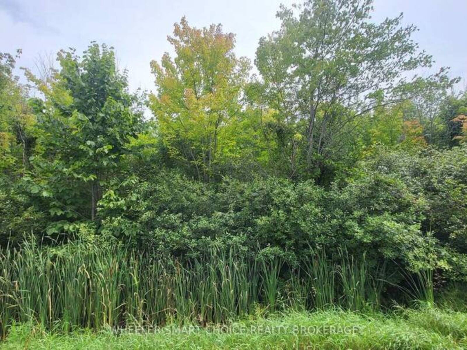 LOT 6 TOLMIES CORNERS ROAD, North Stormont, Ontario K0C 1V0