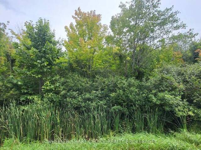 LOT 6 TOLMIES CORNERS ROAD North Stormont Ontario, K0C 1V0 - Vacant Land For Sale