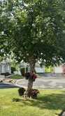 1505 FRANK COURT | Cornwall Ontario | Slide Image Three