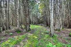18523 KENYON CONC RD 1 ROAD | North Glengarry Ontario | Slide Image Thirty-seven