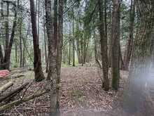 00 KENYON ROAD | Alexandria Ontario | Slide Image Four