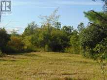 ** COUNTY 18 ROAD | South Glengarry Ontario | Slide Image Six