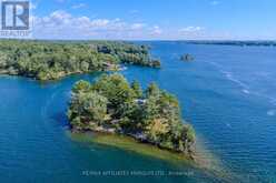 1 ISLAND 49 ISLAND | Leeds and the Thousand Islands Ontario | Slide Image Forty-three