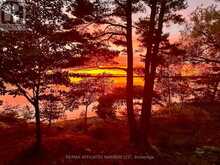 1 ISLAND 49 ISLAND | Leeds and the Thousand Islands Ontario | Slide Image Forty-seven