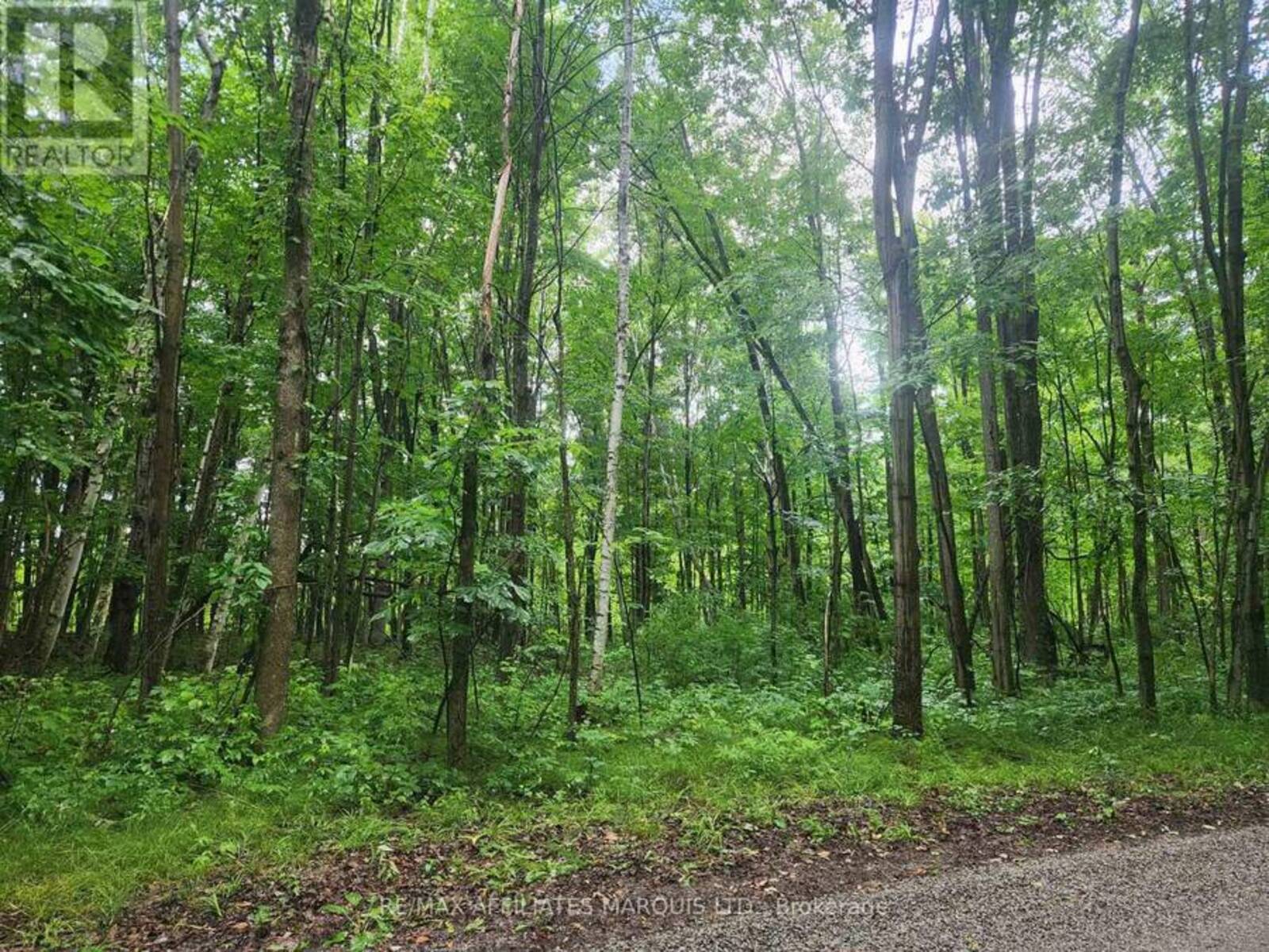 000 CEDAR SANDS ROAD WAY, Leeds and the Thousand Islands, Ontario K0E 1N0