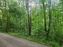 000 CEDAR SANDS ROAD WAY | Leeds and the Thousand Islands Ontario | Slide Image Two