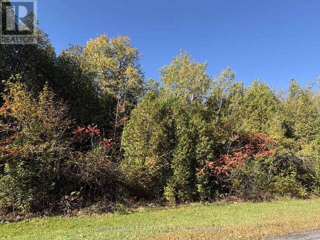 N/A GLEN ROY ROAD South Glengarry Ontario, K0C 1L0 - Vacant Land For Sale