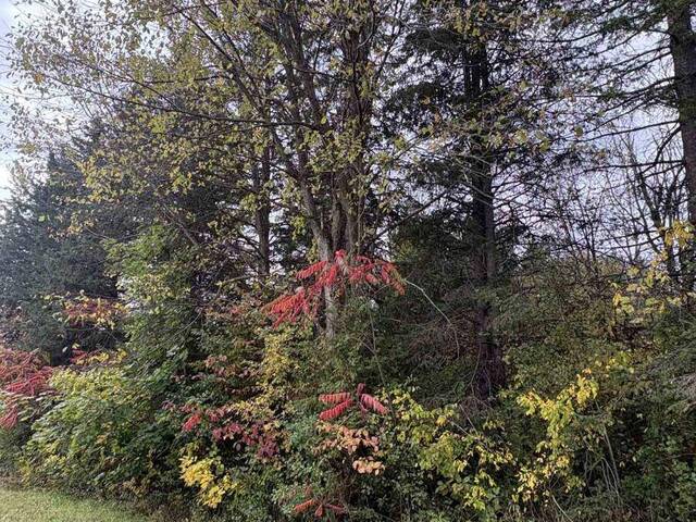N/A GLEN ROY Road South Glengarry Ontario, K0C 1L0 - Vacant Land For Sale