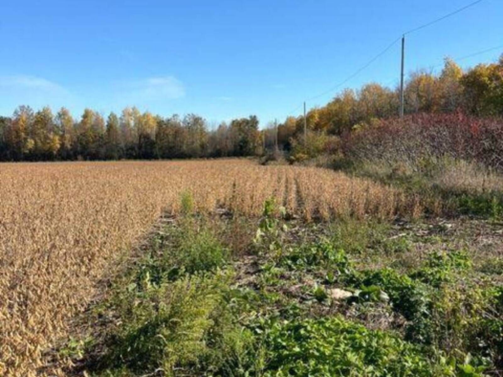 0000 HEADLINE ROAD/COUNTY ROAD 44 ROAD, Long Sault, Ontario K0C 1P0
